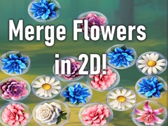 Spill Merge Flowers in 2D!