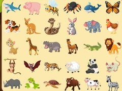 Spill Discover Animals