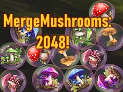 Spill MergeMushrooms: 2048!
