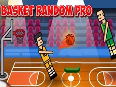Spill Basket Random Pro