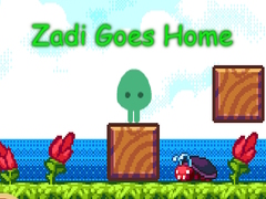 Spill Zadi Goes Home