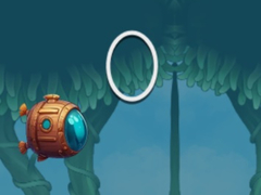 Spill Flap Challenge