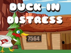 Spill Duck in Distress