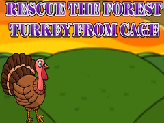 Spill Rescue the Forest Turkey from Cage