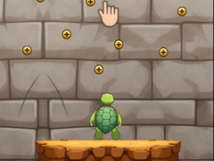 Spill Turtle Coaster