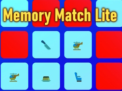 Spill Memory Match Lite