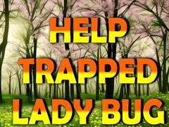 Spill Help Trapped Lady Bug