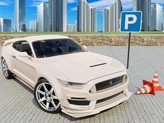 Spill Car Simulator 3D