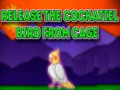 Spill Release the Cockatiel Bird from Cage