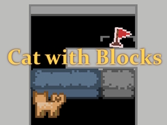 Spill Cat with Blocks