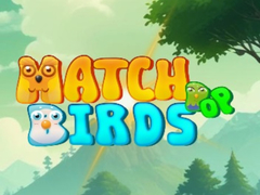Spill Match Pop Birds
