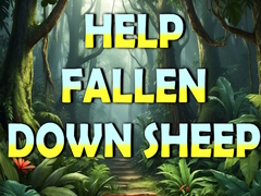Spill Help Fallen Down Sheep Baby