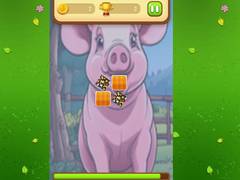 Spill Farm Animals Memory Cards