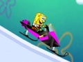 Spill Sponge Bob Sled Ride