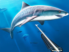 Spill Hunting Underwater Spearfishing