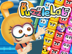 Spill Puzzle Lab