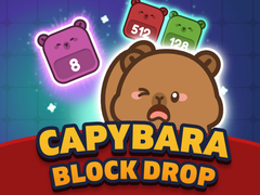 Spill Capybara Block Drop