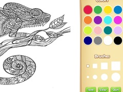 Spill Adult Animal Coloring Book for Kids