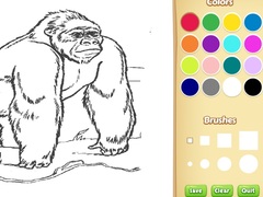 Spill Zoo Animals Coloring Book for Kids