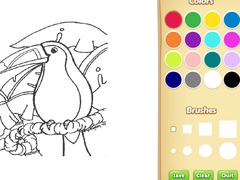 Spill Amazon Rainforest Coloring Book for Kids