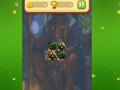 Spill Magic Druid Memory Match