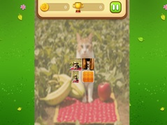 Spill Farm Cat Memory Match