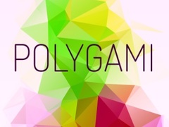 Spill Polygami