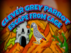 Spill Clever Grey Parrot Escape from Cage