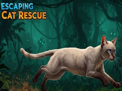 Spill Escaping Cat Rescue