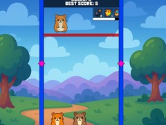 Spill Evolution Of Hamsters