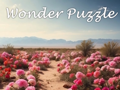 Spill Wonder Puzzle