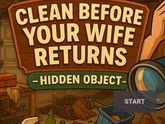 Spill Clean Before Your Wife Returns Hidden Object