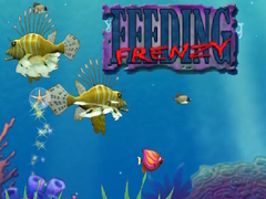 Spill Feeding Frenzy