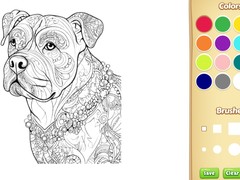 Spill Dog Coloring Book for Adults