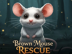 Spill Brown Mouse Rescue