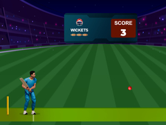 Spill Cricket Night 2