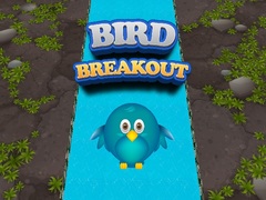 Spill Bird Breakout