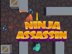 Spill Ninja Assassin