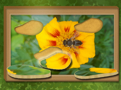 Spill Find & Restore: Hidden Puzzle
