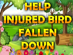 Spill Help Injured Bird Fallen Down