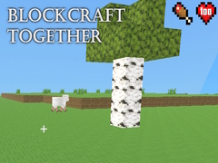 Spill BlockCraft Together