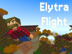 Spill Elytra Flight