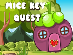 Spill Mice Key Quest