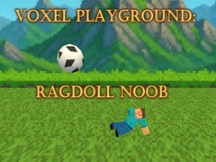 Spill Voxel Playground: Ragdoll Noob