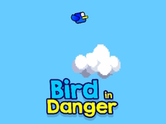 Spill Bird in Danger