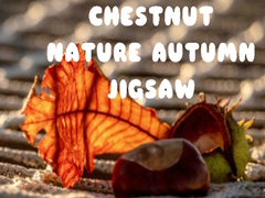 Spill Chestnut Nature Autumn Jigsaw
