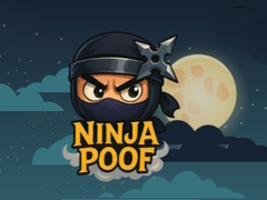 Spill Ninja Poof