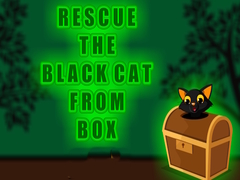 Spill Rescue the Black Cat from Box