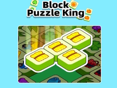 Spill Block Puzzle King