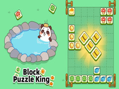 Spill Block Puzzle King
